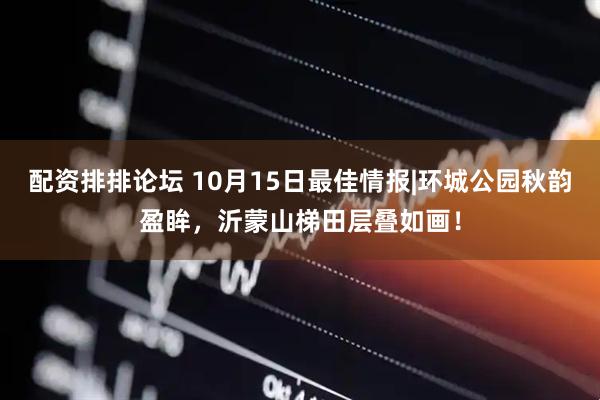 配资排排论坛 10月15日最佳情报|环城公园秋韵盈眸，沂蒙山梯田层叠如画！