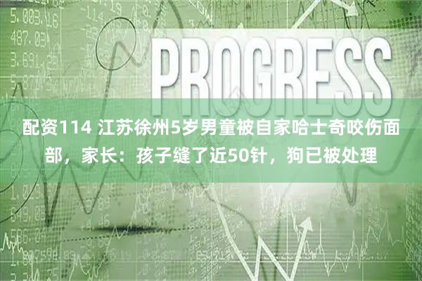配资114 江苏徐州5岁男童被自家哈士奇咬伤面部，家长：孩子缝了近50针，狗已被处理