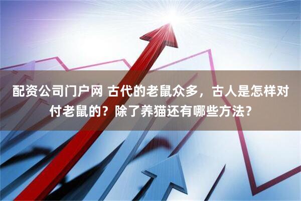配资公司门户网 古代的老鼠众多，古人是怎样对付老鼠的？除了养猫还有哪些方法？